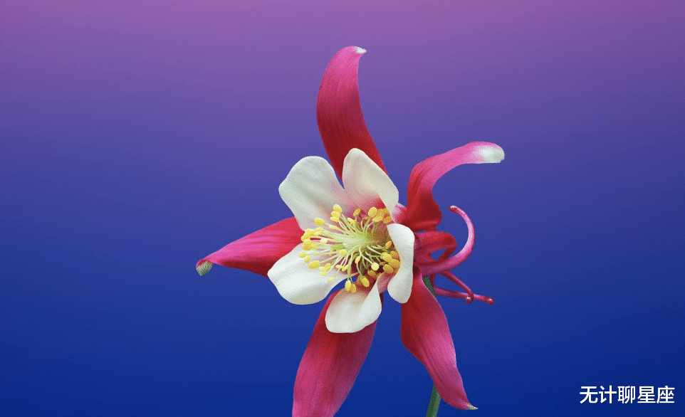 |未来五天,这4个星座将遇到新的机遇,纵横职场,事业攀升