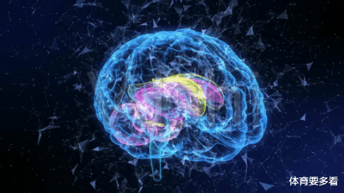 |日本老年痴呆症程度测试：您可以在图片中找到蜥蜴吗？