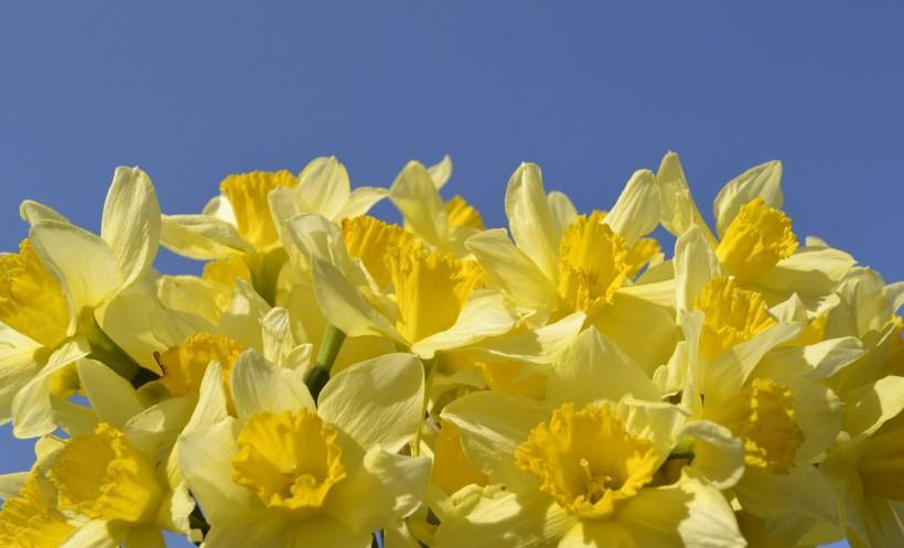 吉星|9月开始，四生肖大喜降临，好运围绕，诸事畅通，可喜可贺