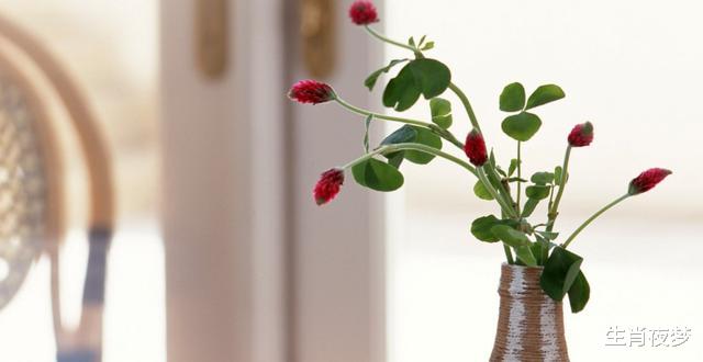 旧爱|8月底,再遇旧爱,桃花难逃,3生肖喜结连理,执子之手与子偕老