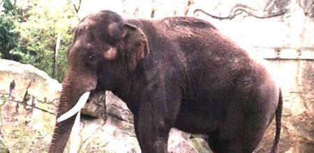 科学家|世界上至今未解6大谜团,科学家难以解释,其中三个发生在中国