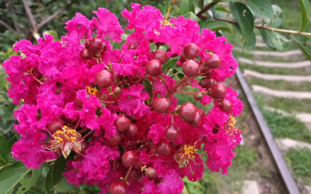 |9月29号之后此三属相运势极旺，财源不断，钱财大涨的三生肖