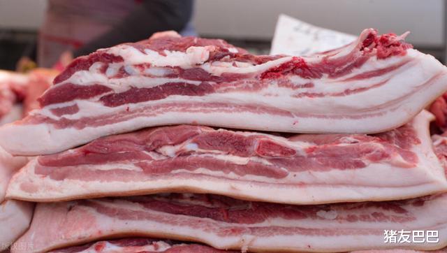 生猪价格|猪价“要变天”？2万吨“低价猪肉”入市，猪价要“断崖”下跌？