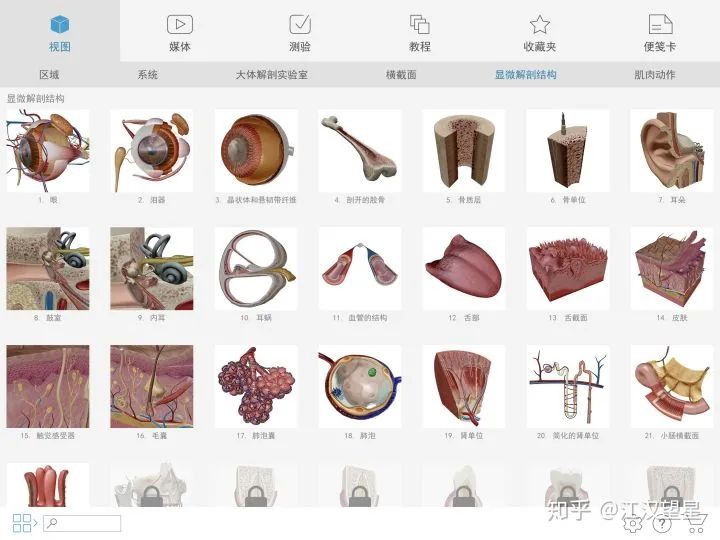 软件|有哪些学生党必备的 APP ？