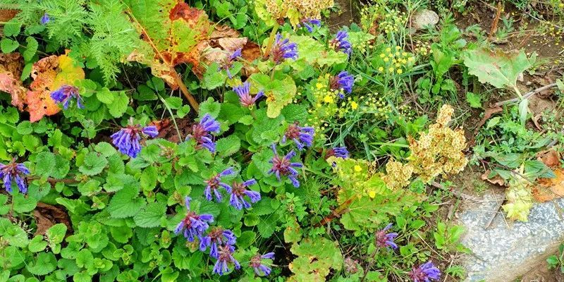 灵山|京城第一峰：要爬就爬最高的山