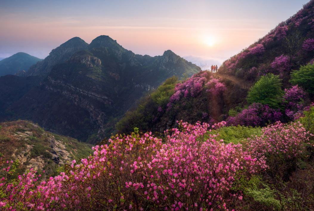 「圣堂」免门票！五一出游首选金秀！世界瑶都让您嗨翻天！