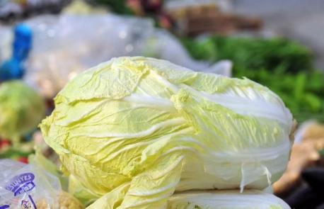 大白菜|吃了这么多年大白菜，才知道上面的“黑点”是什么？真是涨知识了