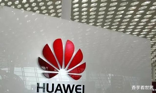 『程序员』大反转！德国执意要拆除华为设备，任正非的做法让人服气