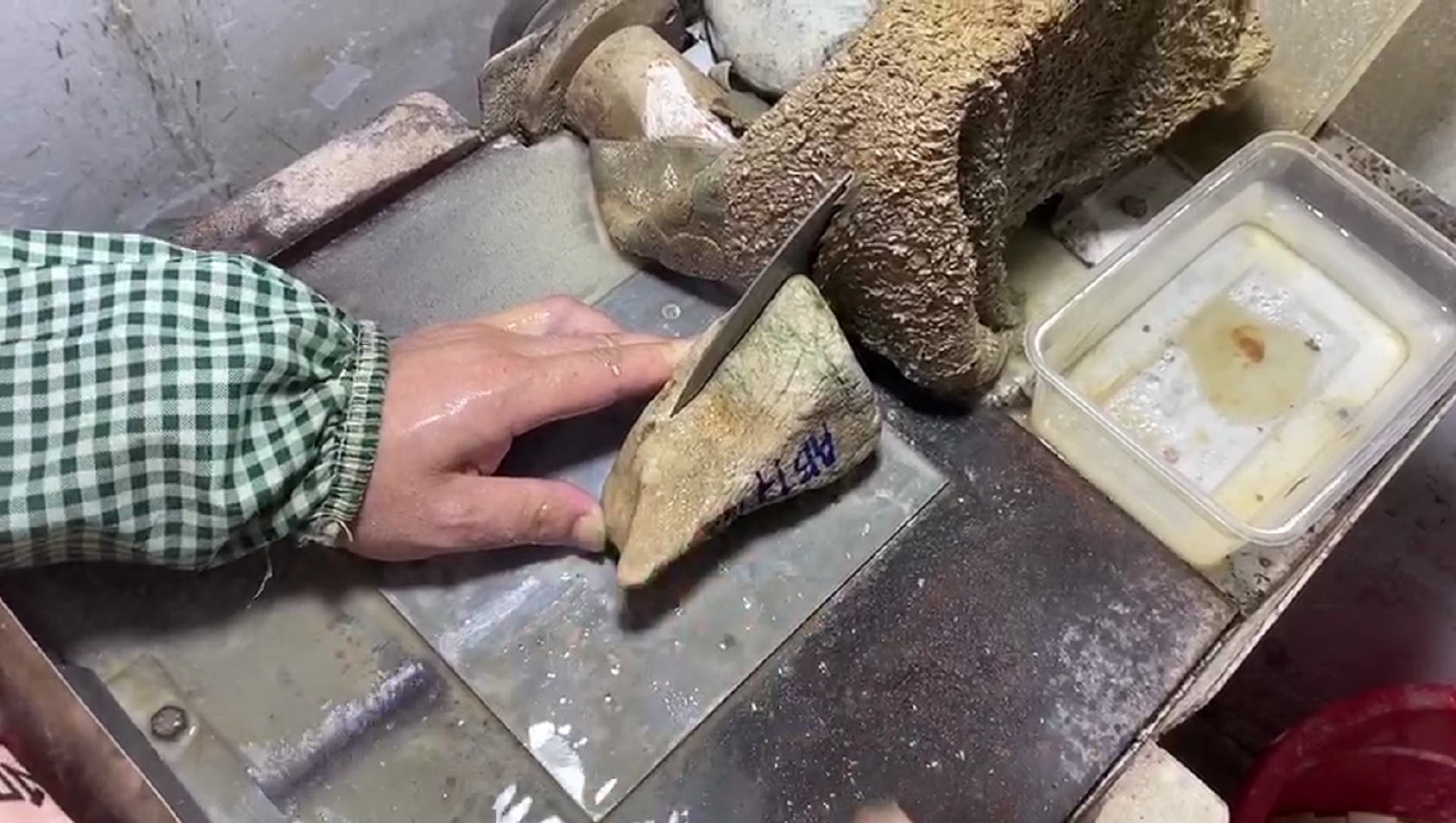 翡翠|朋友来瑞丽旅游，忍不住买了一块翡翠原石