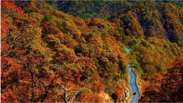 江浙沪|江浙沪“最美的”自驾游路线