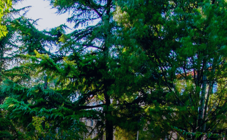 清华大学|这所大学被称为“小清华”，实力非凡，考上就等同于铁饭碗