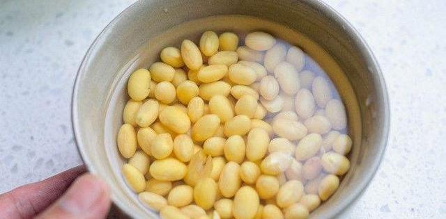 消化系统|为什么“鸡不吃黄豆”？你知道原因吗？