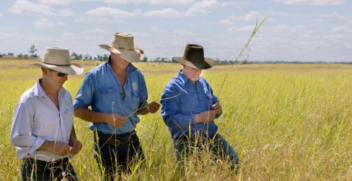 美媒：澳大利亞農民損失慘重，他們將遭受苦難，事情又有新進展-圖3
