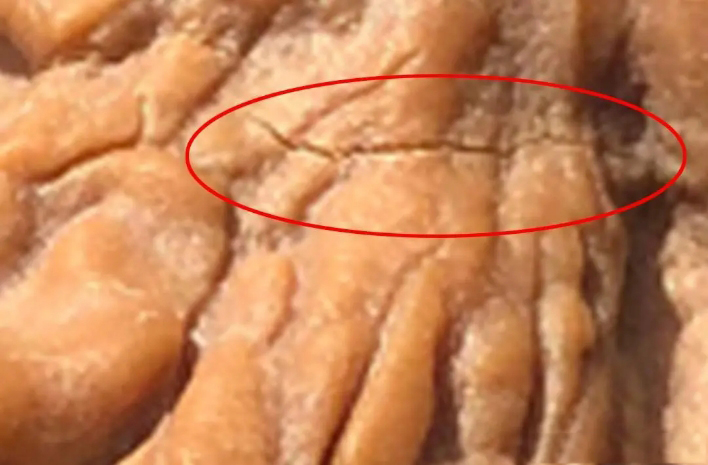 #文玩核桃#文玩核桃被误解的现象，是不是你也有过