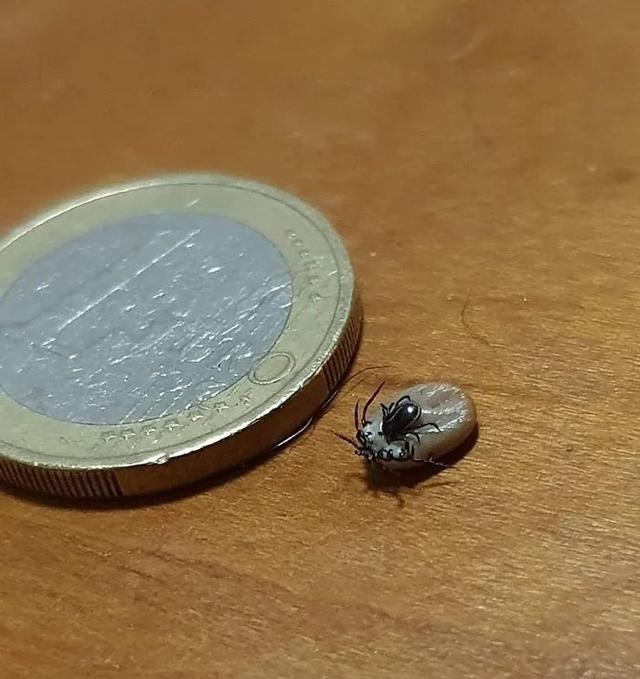 「」一组让你大开眼界的自然场景，最后那张图是不是骗到你了？