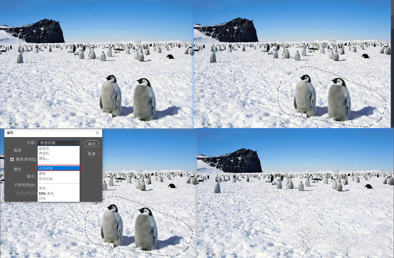 鼠标|PhotoShop选区填充及自由变换使用方法