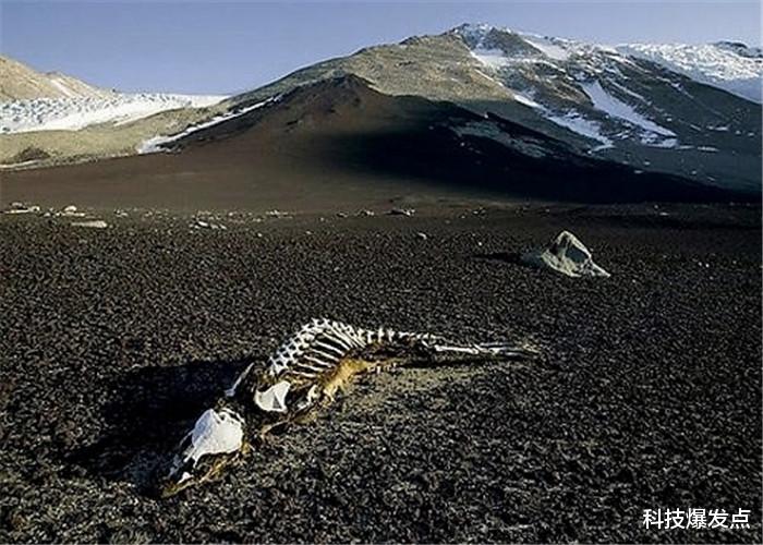 「」昆仑山深处有什么？为何会被列为禁区？因为37年的一件事！