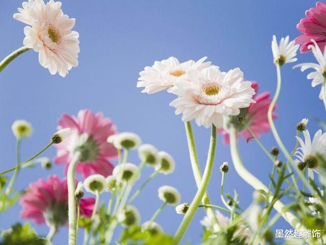 繁花：《繁花》官宣开拍，章子怡梁朝伟无缘此戏，确认由胡歌马伊琍主演