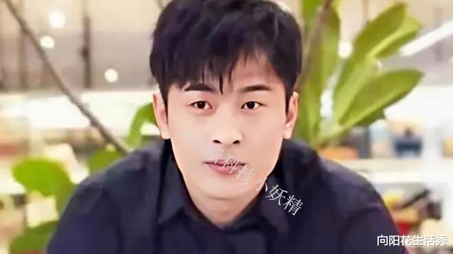 演唱会|辛巴走出快手“江湖”,花巨资再办演唱会,他到底要干什么?