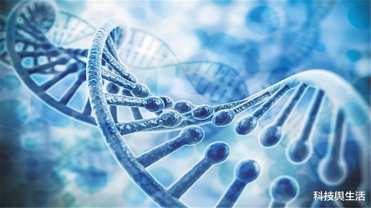 科学家|科学家发现一种物质，关乎到人类极限寿命，长短全靠它了！