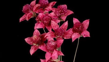 「水瓶座」水瓶座:让你对爱情最期待的5个星座,总有种神秘让你期待