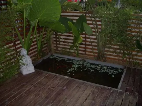 『』露台改造：梦想“日式花园” 享受DIY乐趣生活