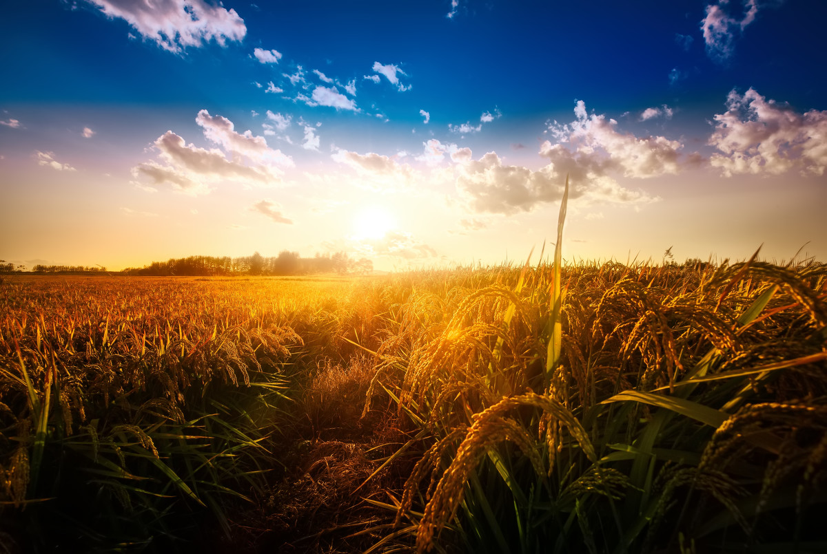 『薛之谦』李宇春520云婚礼主题曲已发布同战疫英雄百对新人相约明早10点08分的云婚礼，舒兰疫情早日结束