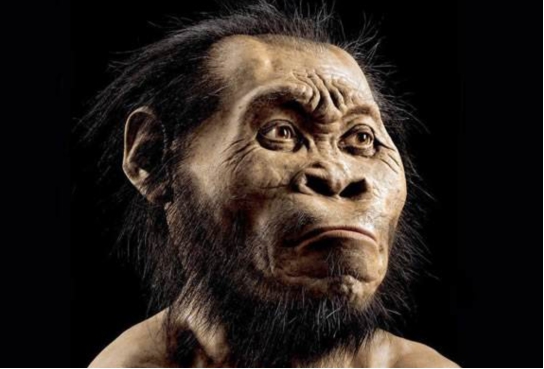 『化石』神秘的古人类化石，不属于任何已知人种，它与人类有385处差异