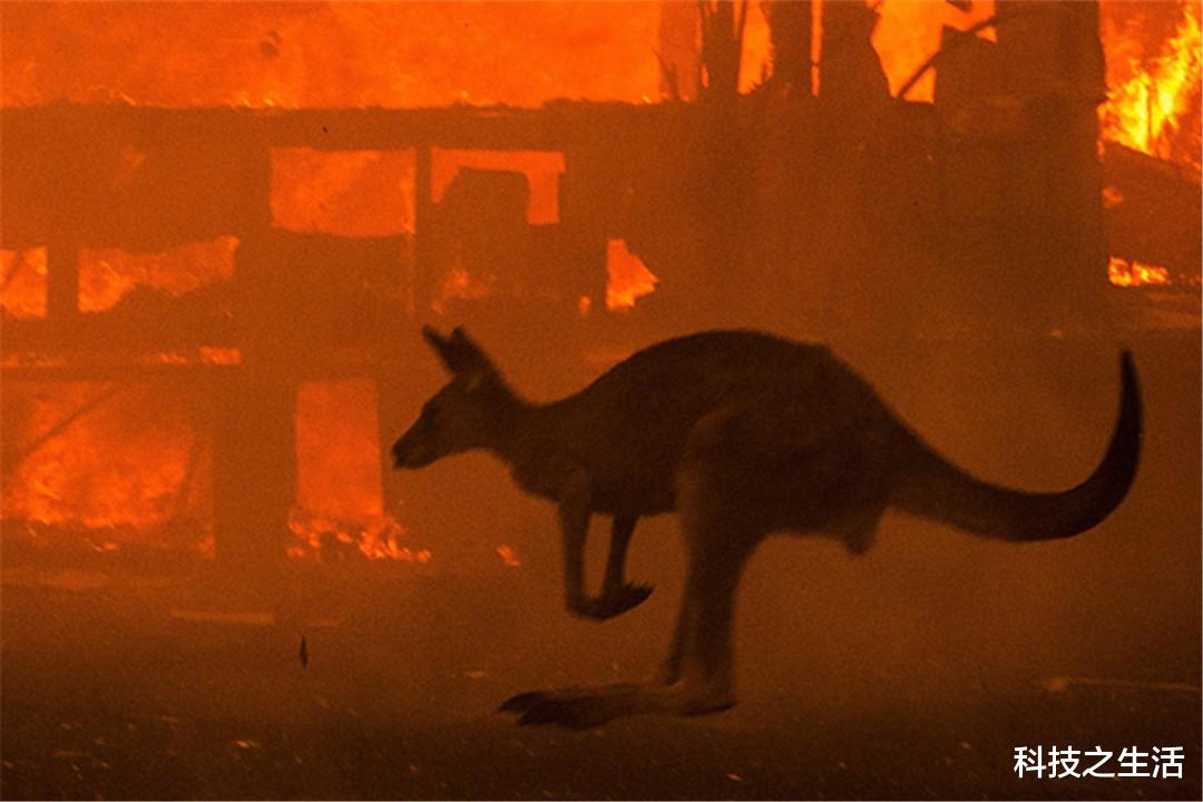 |他自称来自2060年，对地球做出预测，还给2019年的人类留下了忠告！