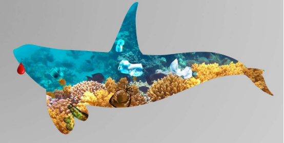 #潜龙三号#我国从3900米深海传回照片，西方国家发出警告：必须立刻停手