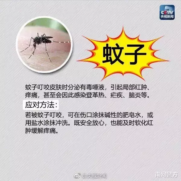 南河警方|太危险！女子景区内被咬，命悬一线！这虫广东很常见，已有多人中招