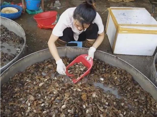 螃蟹|20岁女生街边卖“生螃蟹”6元一盘，每天能卖300盘，顾客都说好吃