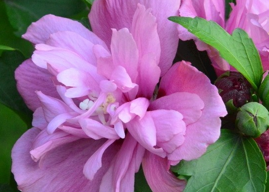 【运势】未来10天，4属相运势不断上涨，富贵盈门，顺风顺水，万事大吉