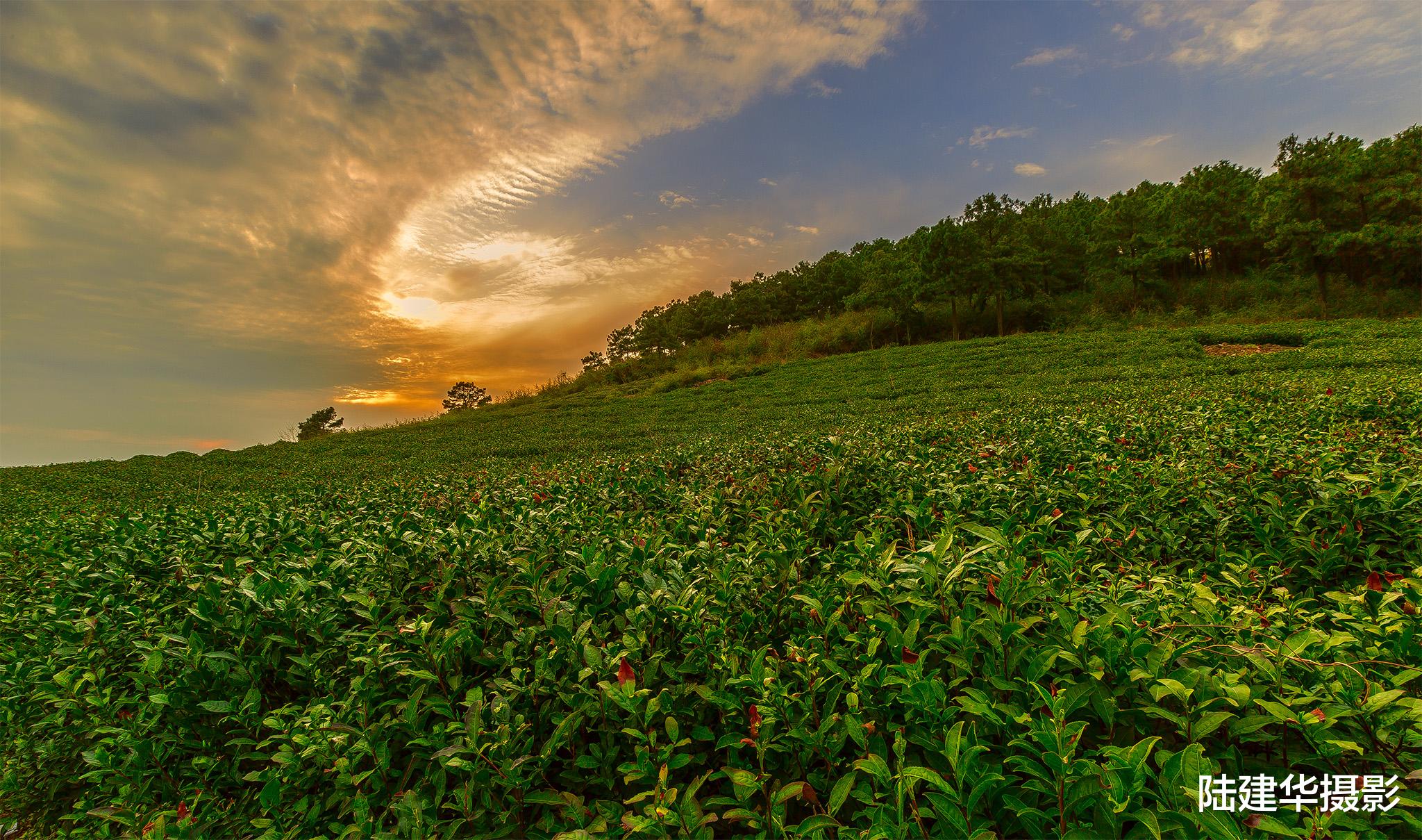 无锡|太湖四十八岛，每一座岛都有一段故事
