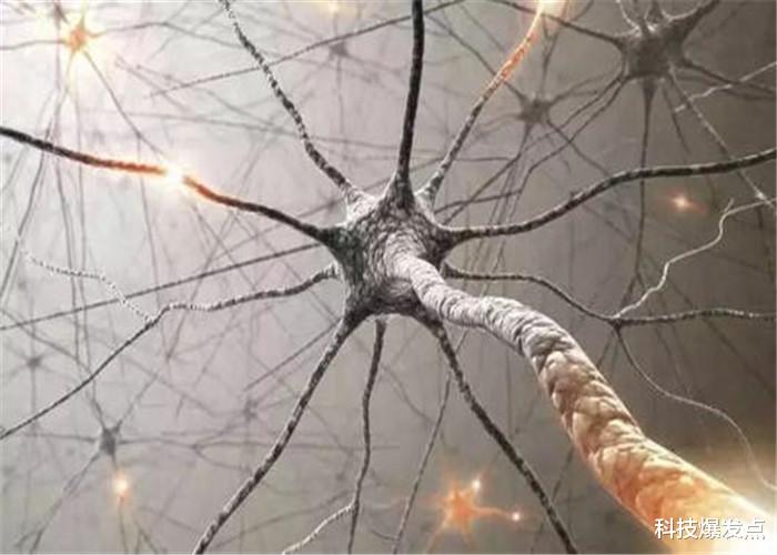 『科学家』熬夜会变傻是真的吗?和大脑这个物质有关,看完你还熬夜吗?