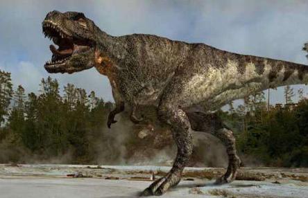 恐龙|为何远古生物的体型都很大，而现代动物却严重缩水？这一点很关键