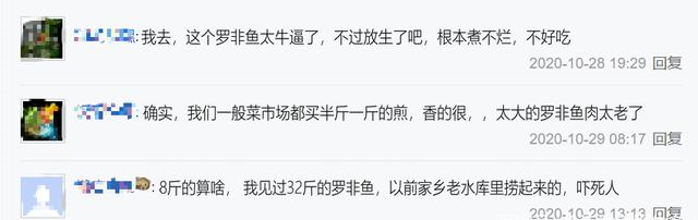 罗非鱼|太大了煮不烂？广西水库有人钓起巨型罗非鱼，网友：放生