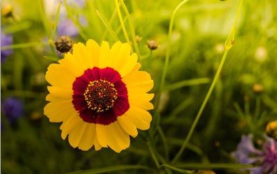 旧爱|下月10日开始，迎接财神，接大运，3生肖财运高照，天天赚大钱