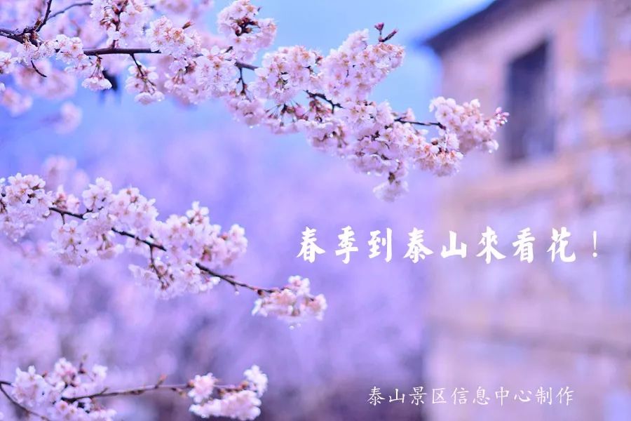 春分：【春分】踏青赏花，寻春赏梅