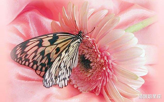 生肖▲十二星座中心口不一的三大星座，心太软但嘴太硬，死要面子活受罪