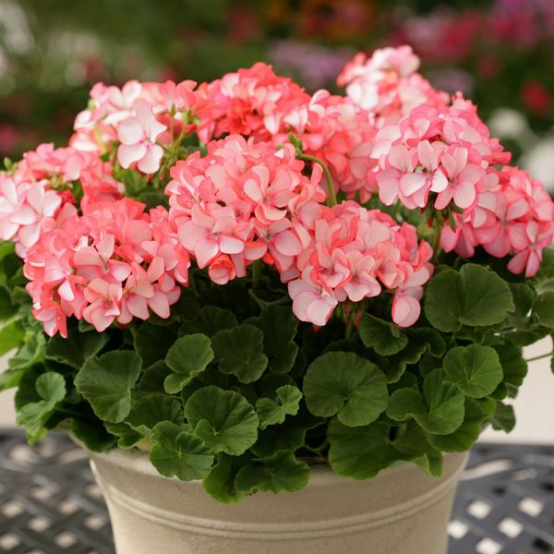 那些高价买实木家具的人，究竟是在买什么！看完后，没买的笑了