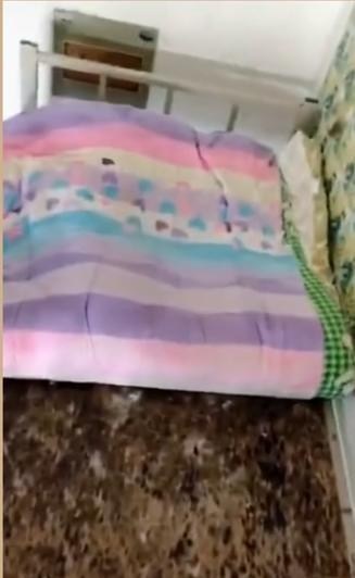 宿舍|超长假期后，大学生一回南方大学宿舍，脸都绿了：一片生机勃勃