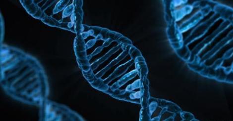 电影霸主：印度天降“红雨”，雨中发现神秘生物，真的是外星文明操控的吗？