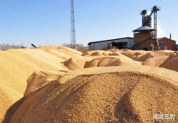 粮价|提高粮价弊大于利，遭官方“否定”？专家提醒：不提价并不是坏事