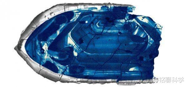 古生物学|地球一共经历过多少次文明？