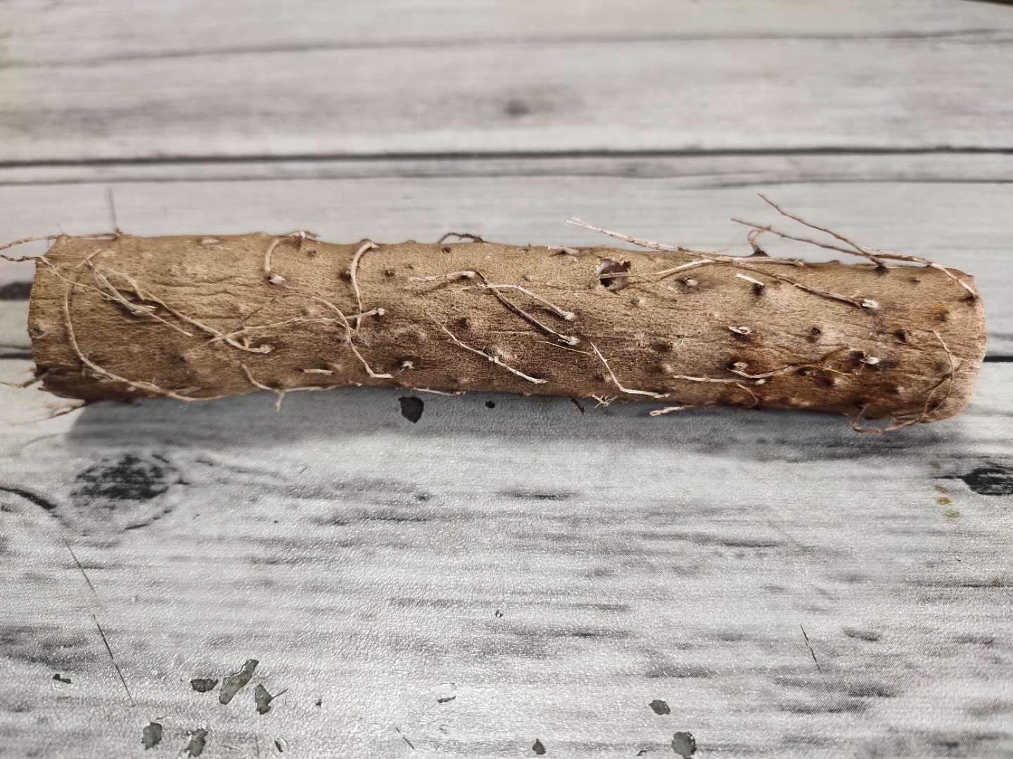 豆浆|早餐喝一碗这样的养生粥,比用什么化妆品都强,做法更简单