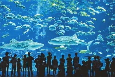 珠海交警|三小时3对情侣开豪车来珠海丢12分！车都开不回去！破了纪录！