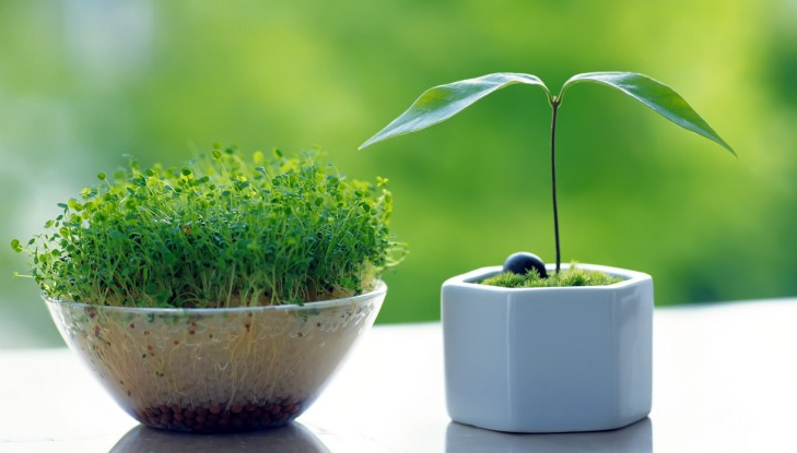 【运势】5月下旬，迎来双喜临门，横财临门，福多运旺的生肖