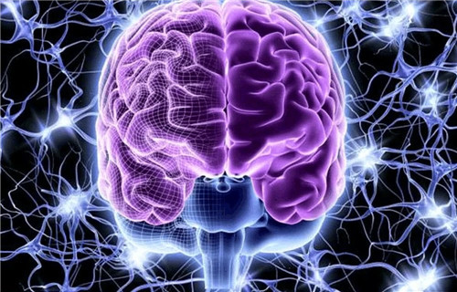 「考古学家」英国古墓发现2600前古人大脑，考古学家检测后大惊：它还活着