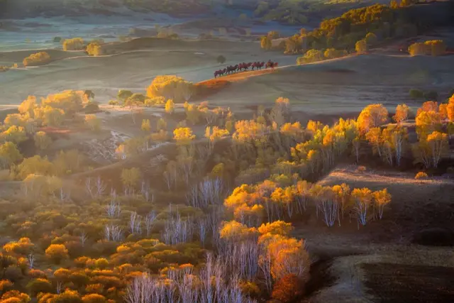 自驾|全国最早一波秋色来了!这6条自驾路线,9、10月美成天堂